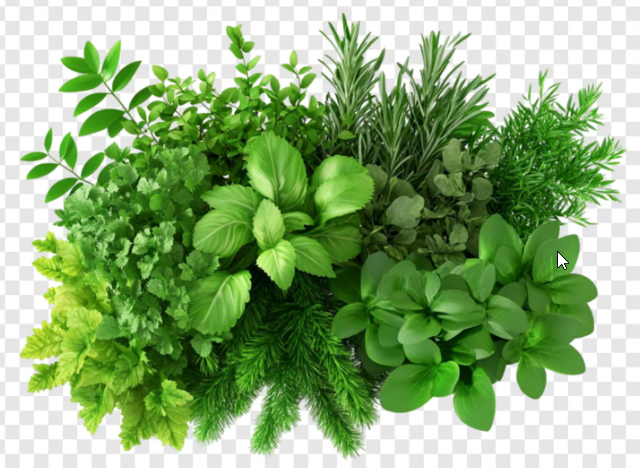 Herbal Products